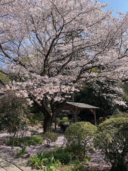 有限会社大森造園土木